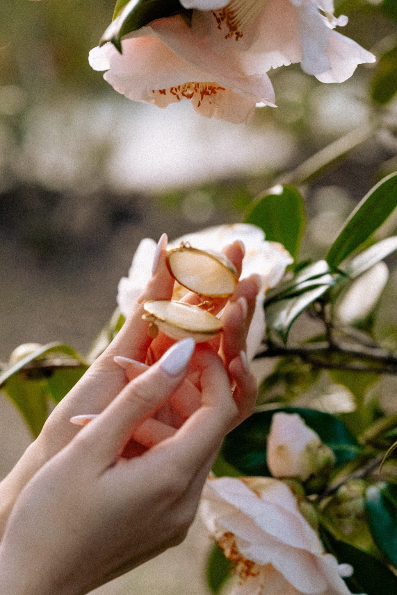 Rose Frankincense & Patchouli